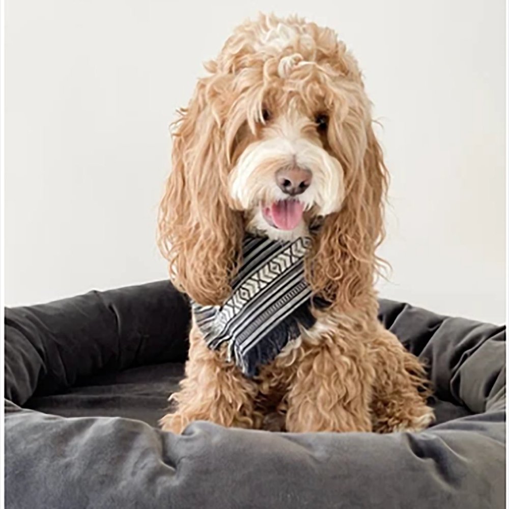 Southwester Dog Bandana